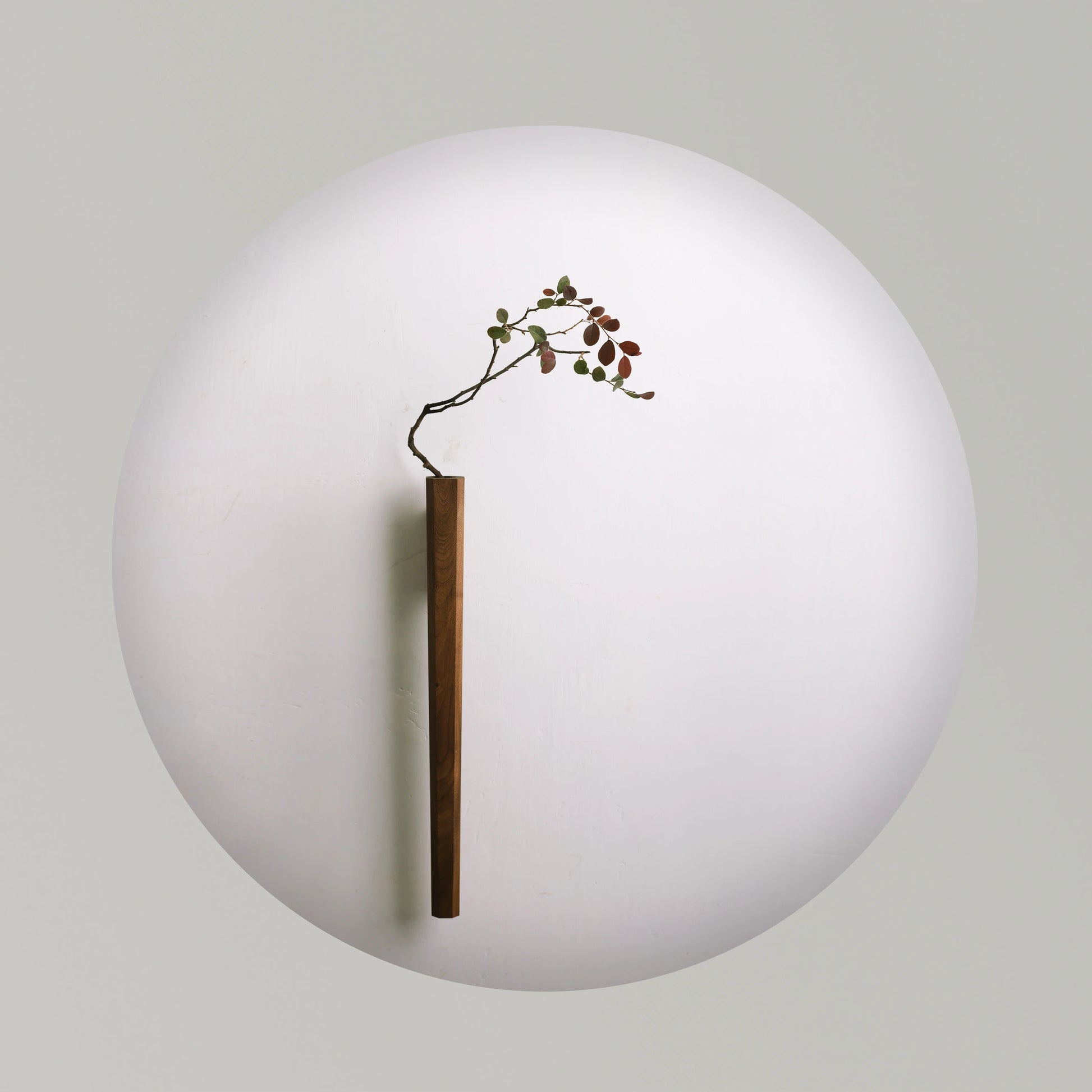 A minimalist wood wall vase styled against a large white circular background.