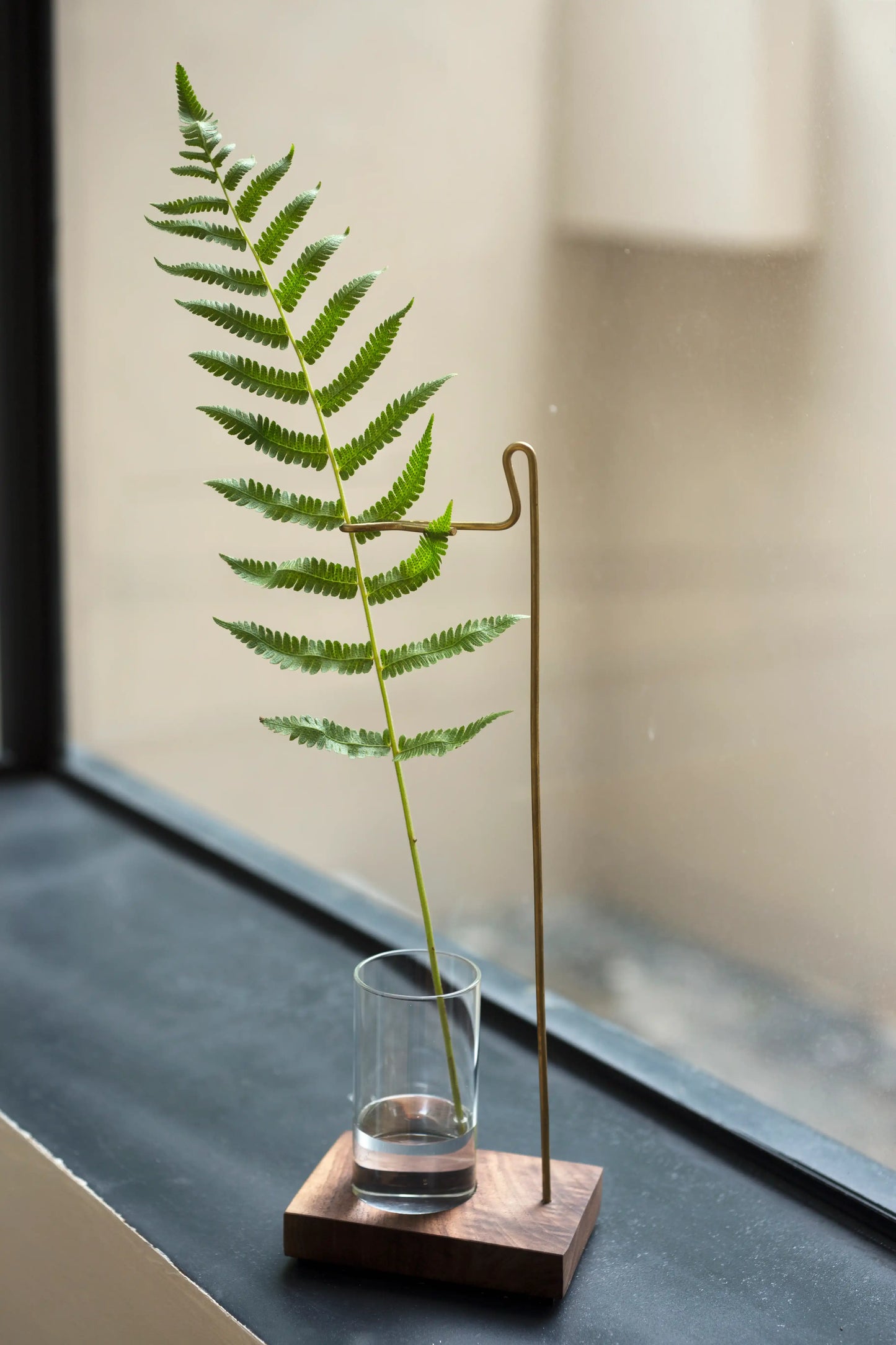 A single fern stem in a minimalist brass and walnut propagation vase.