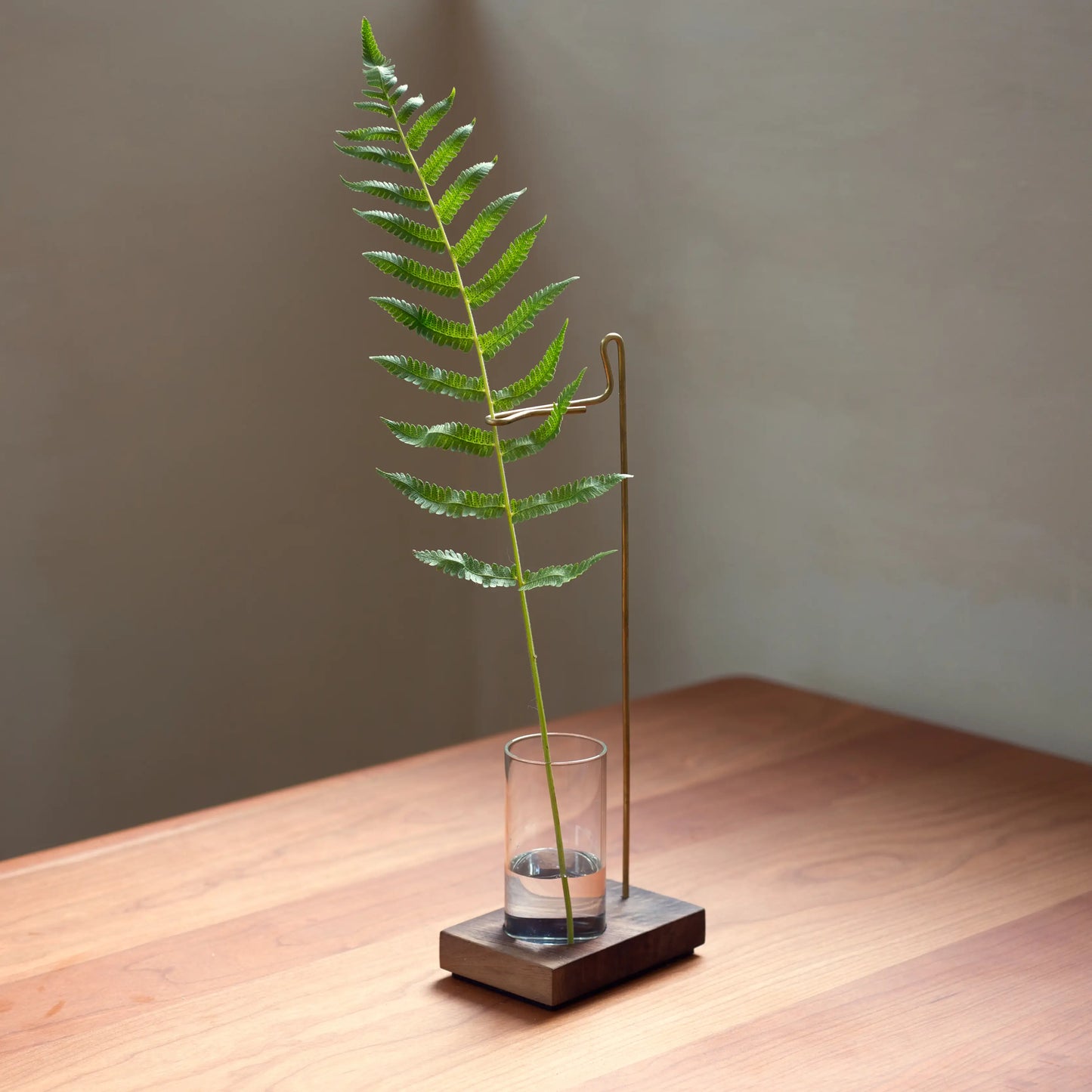 Minimalist bud vase with a fern, made of walnut, brass, and glass.
