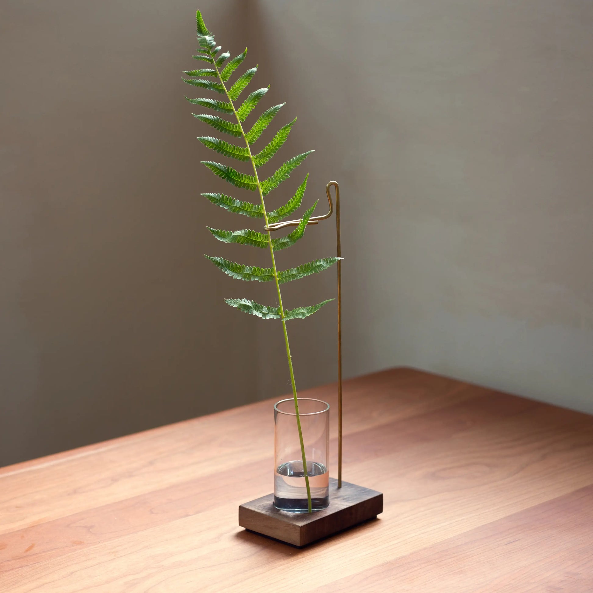 Minimalist bud vase with a fern, made of walnut, brass, and glass.