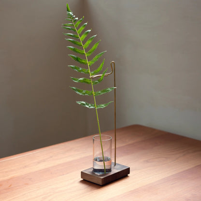 Minimalist bud vase with a fern, made of walnut, brass, and glass.