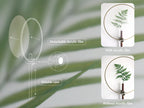 Diagram showing the adjustable features of the wall vase, with and without the fog film.