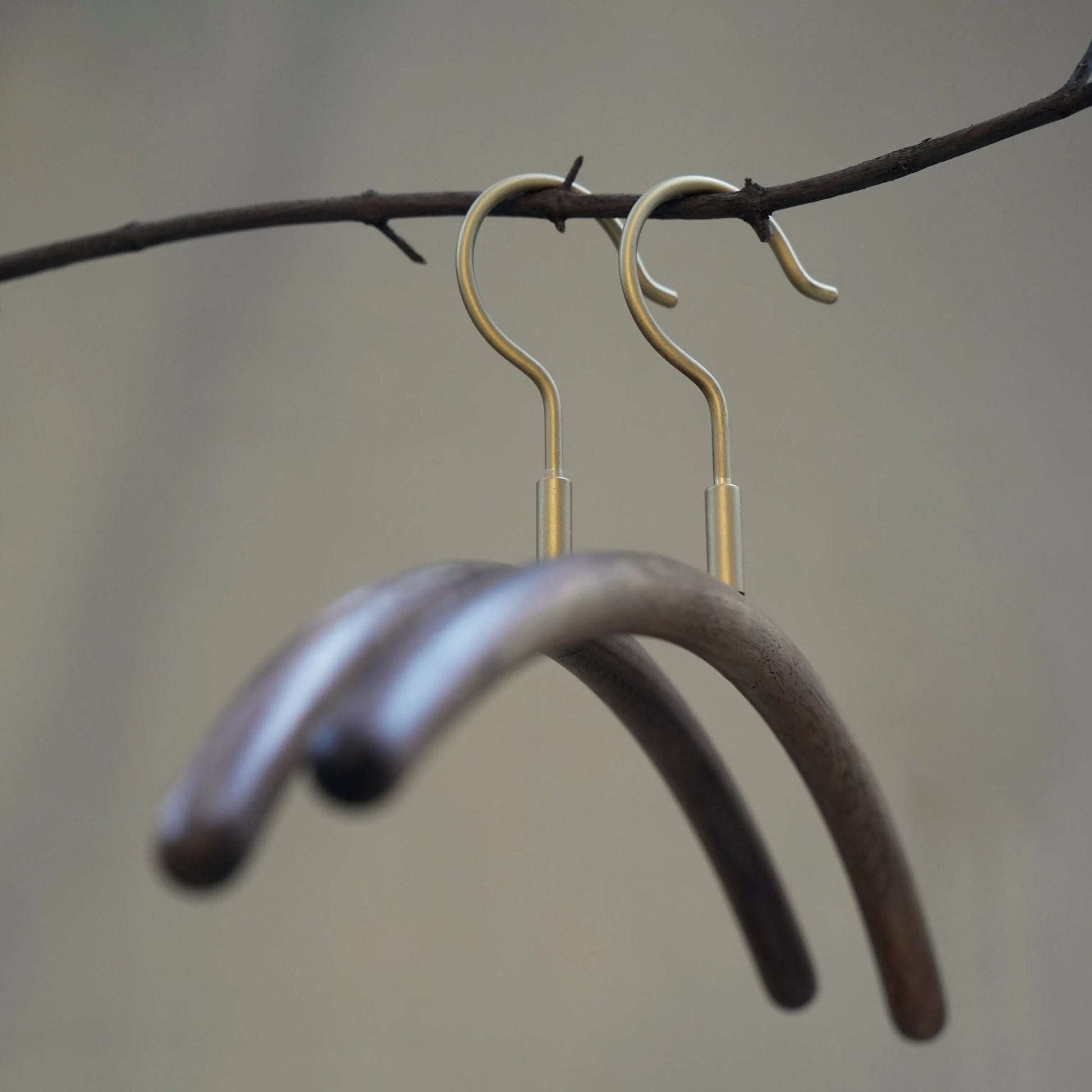 Two luxury walnut and brass clothes hangers hanging on a tree branch.