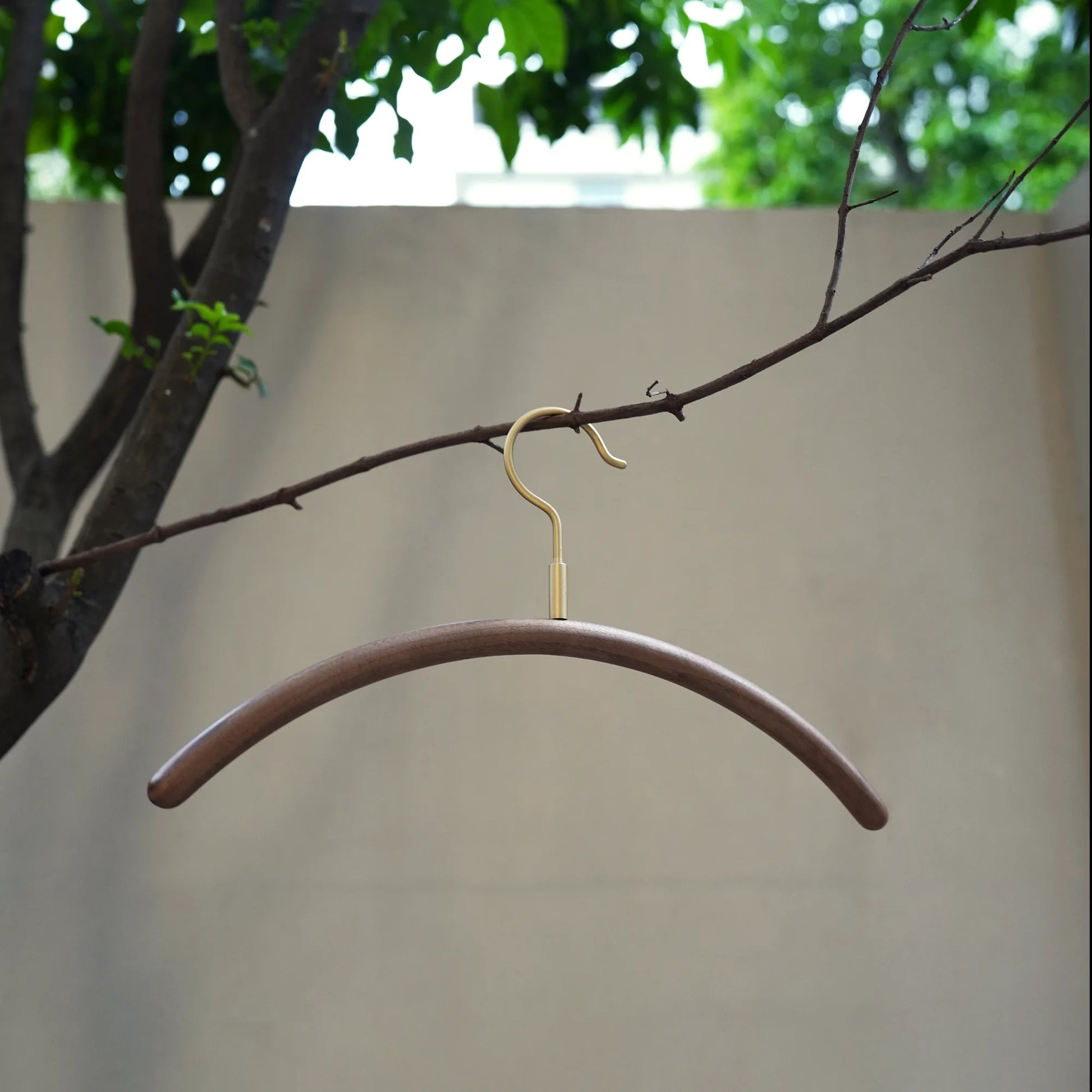 A single dark walnut clothes hanger hanging from a tree branch.