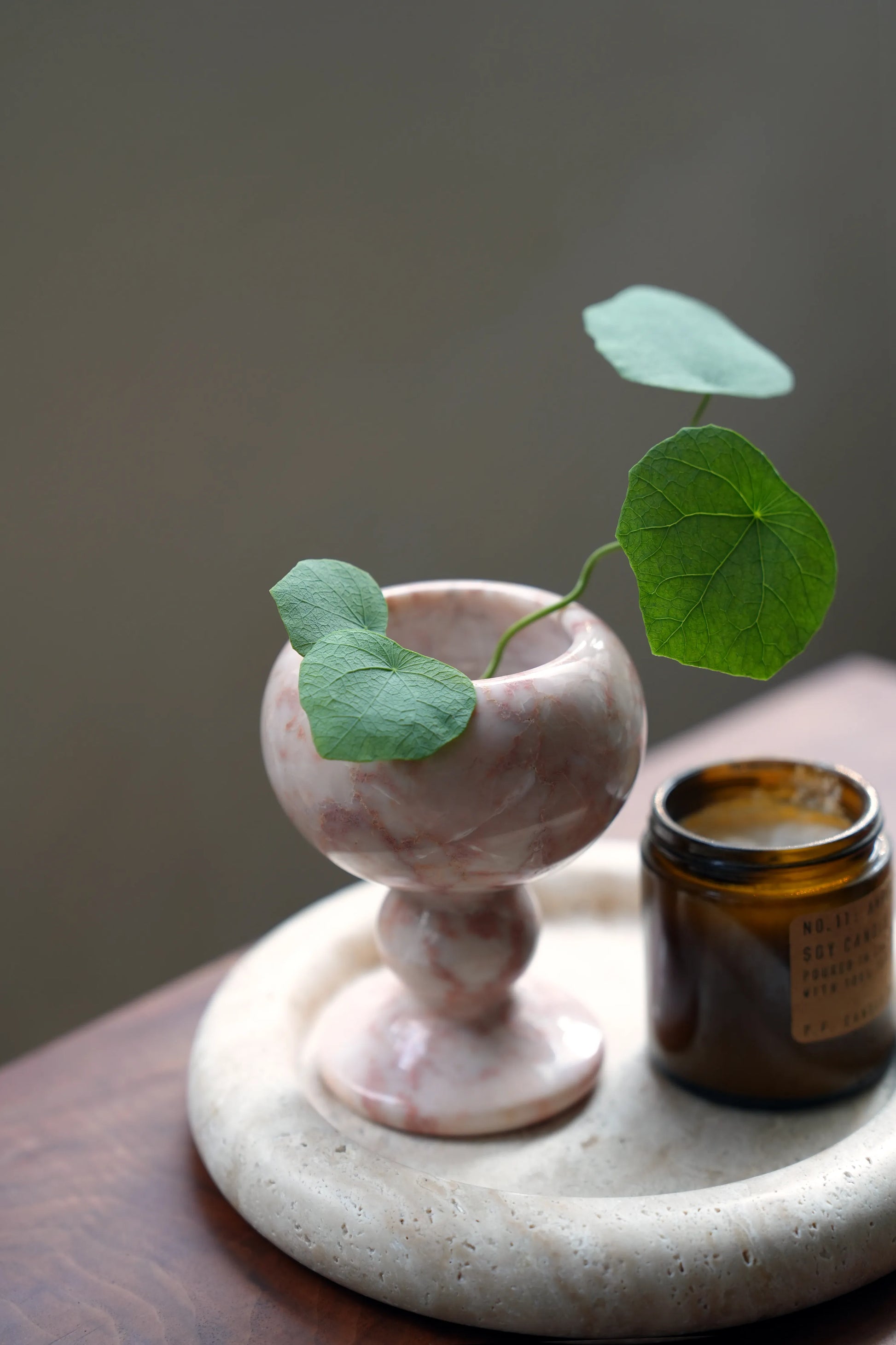 A small green plant stem arranged in a pink marble bud vase.