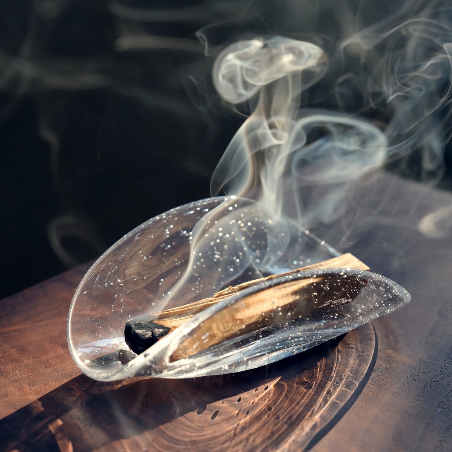 Smoke rising from a Palo Santo stick in a bubble glass dish in sunlight.
