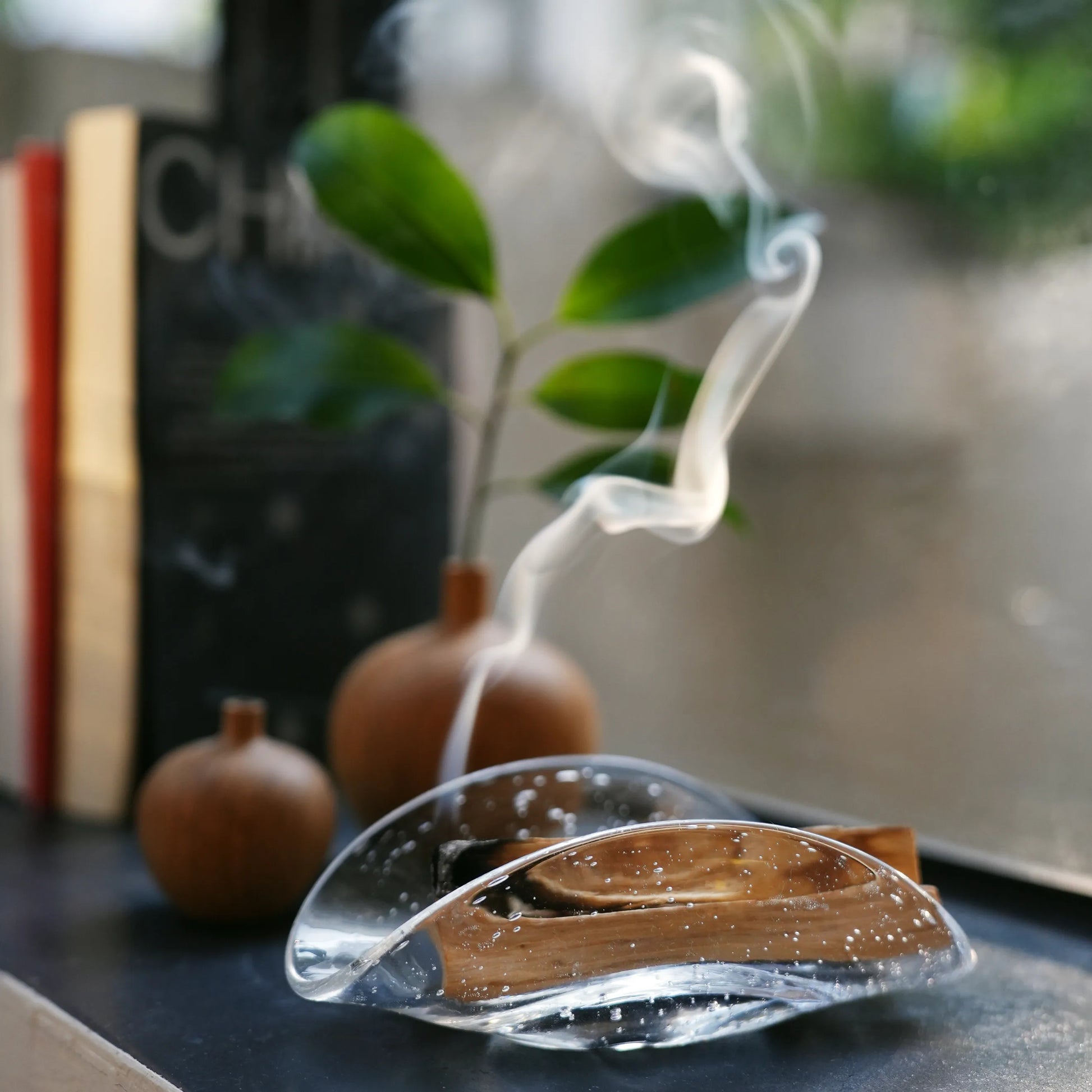A glass incense holder styled on a windowsill with books and plants.