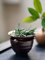 Dark ceramic oil burner holding rosemary sprigs, windowsill
